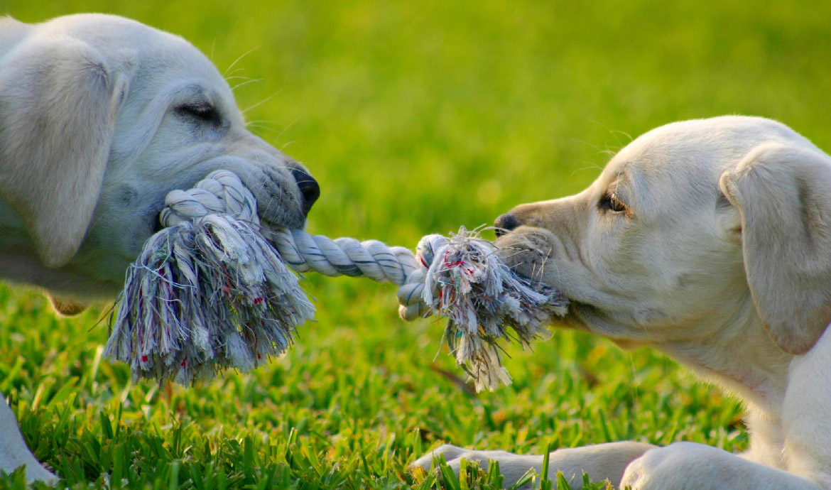 Wrzesień, czas do szkoły
